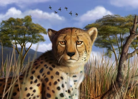 the savanna eyes - fantasy, savanna, gepard, abstract, birds