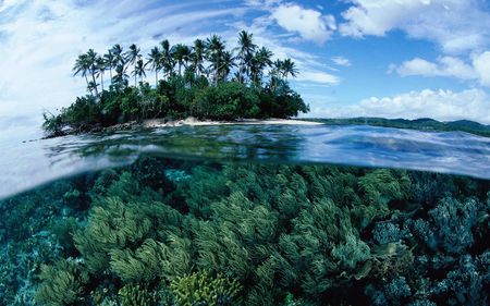 private island - beauty, sky, trees, photography, water, wet, tropical, palm, nature, reflections, clouds, island