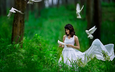 doves in flight - woman, beauty, trees, female, field, innocent, model, white, pretty, brunette, birds, gown, asian, lovely, nature, flowing, animal