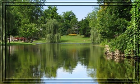 WILLOW POND - willows, reflection, forest, trees, water, pond