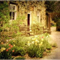 The Oak Tree Cafe