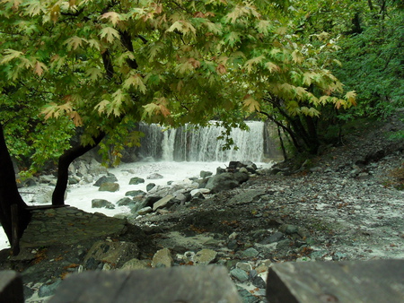 Waterfall next to the Trees - trees, nature, waterfall, relaxing, landscape