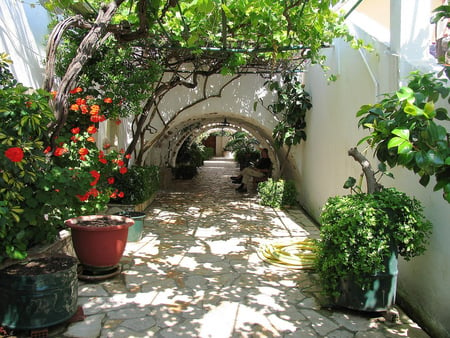 Corfu - flowers, greece, street, corfu