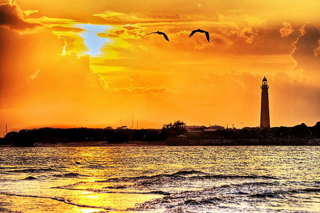 Lighthouse in the gold - reflections, birds, shore, lighthouse, flight, golden sky, ocean