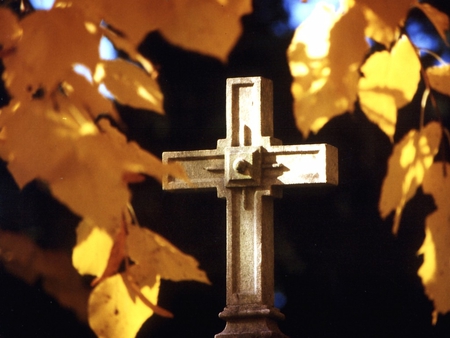 the cross - fall, jesus, trees, lord, god, religious