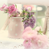 Sweet for my friend Jeri (mememe1)