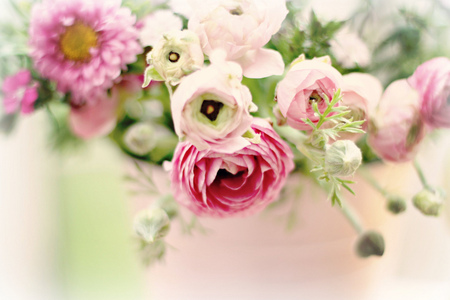 just love pink - pink, margaritas, ranunculus, still life, vase