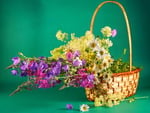 Basket of spring