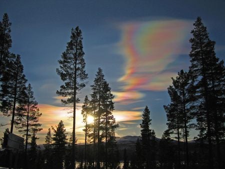 kalinka-irina-martasn-iglesias1_nacreous_clouds - nice, sky, trees, sun, soft, nature, warm, clouds, colors, scene