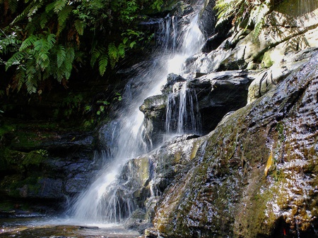 Falls - forests, waterfalls, nature, rocks