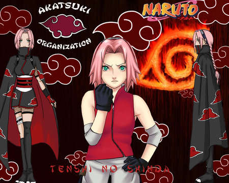 Sakura - sakura, akatsuki, naruto shippuden, naruto girls, anime girls