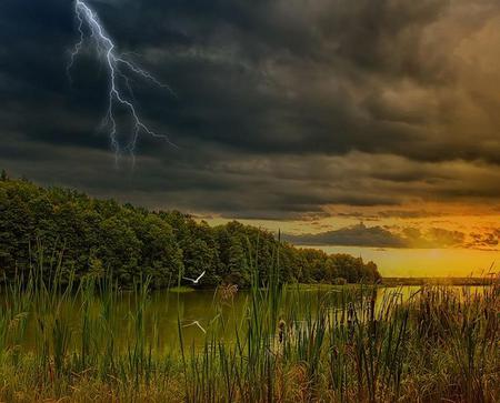 The Boss is Angry - trees, clouds, river, water, grasses, sunset, lightening, bird