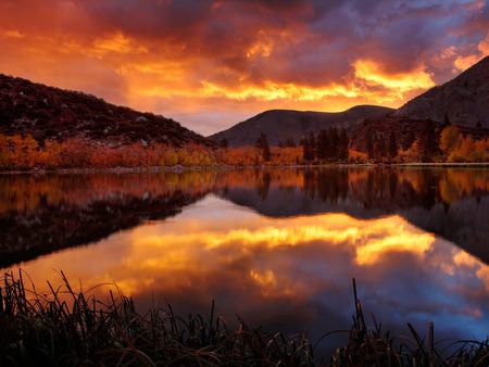 Sunset Lake - sun, panorama, sunbeam, colorful, white, reflections, purple, reflected, sunrays, grass, trunks, laguna, branches, ambar, nature, pink, mirror, leaves, stones, pines, sunrises, sky, trees, mountains, black, rocks, green, forests, summer, peak, red, blue, scenery, gray, natural, amber, sundown, wood, lagoons, lakes, yellow, golden, roots, landscape, hills, mounts, multi-coloured, scenario, maroon, seasons, clours, autumn, sunshine, water, leaf, brown, multicolor, clouds, sunsets, orange, rivers, scene, paisagem, declive, waterscape, plants, gold, grove, colors