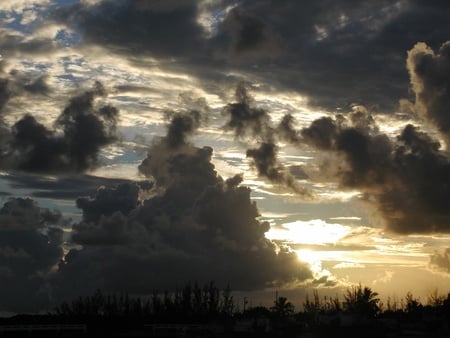 the coming of night - nature, sky, trees, forest, night, darkness, sunset