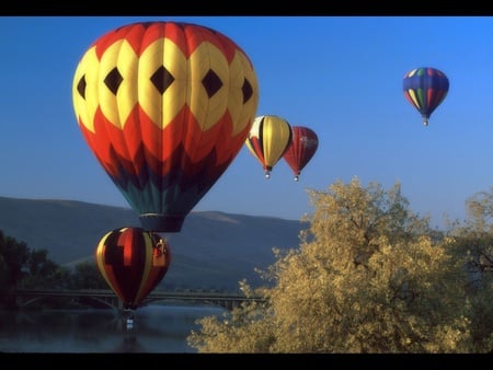 how high can we go? - hot air balloons, trees, nature, mountains, sky