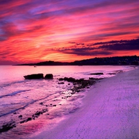 Purple Sunset