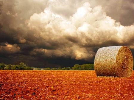 Thunder cloud-over-a-field - nature, fields, sky, thunder, colors