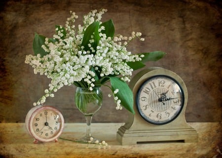 still life - pretty, elegantly, photo, gentle, flowers, clocks, old, nice, water, beautiful, photography, beauty, lovely, cool, still life, flower, bouquet, harmony, lily of the valley, glass