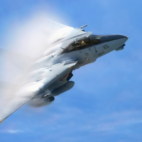 F-14 Tomcat