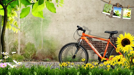 Spring Ride - summer, brick, photos, flowers, spring, wall, bicycle, grass, shade, bike, tree, nature