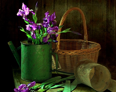 Potting Shed - watering can, purple iris, table, flowers, basket, still life, iris, vase