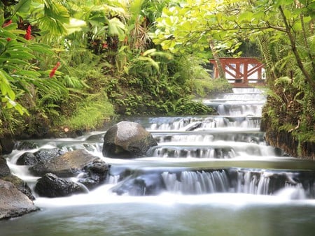 WATERFALLS - waterfall, nature, relaxing, green