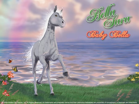 Bella Sara- Baby Bella - horses, baby, animals, sea, grass, fictonal