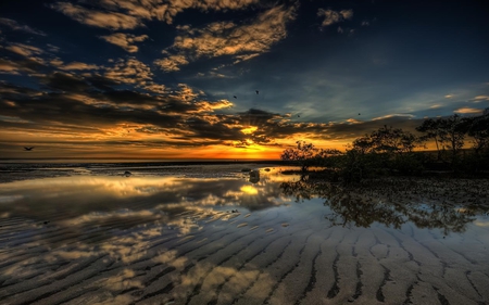 Sunset - beautiful, beach, ocean, view, nature, birds, sunset, pretty, rays, beauty, ripples, peaceful, lake, sky, sand, reflection, sunlight, clouds, lovely, splendor, trees, sea, colors, other