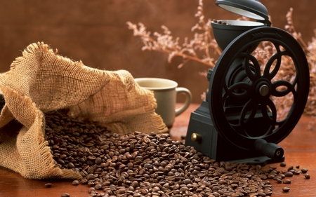 Coffee - pretty, coffee, beautiful, photography, beauty, morning, lovely, still life, bag, beans, coffee beans, good morning, cup of coffee, nice, cup