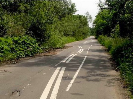 road markings - nature, funny, road, way