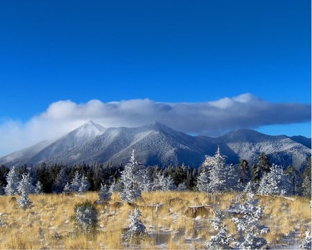 Light dusting of snow - photograph, winter, nature, autumn, snow, spring, mountains