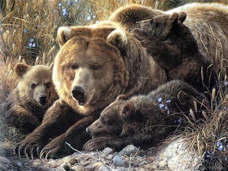 mum and cubs - playing, you got me, tag