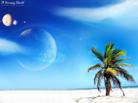 palm dream - moon, world, paradise, sky, palm