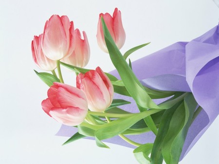 tulip bouquet