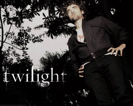 Robert Pattinson - cullen, twilight, robert pattinson, edward