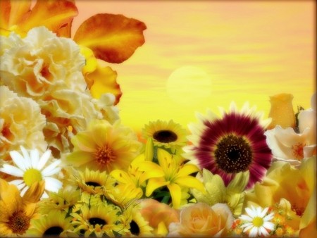 floral bliss - nature, flowers, yellow