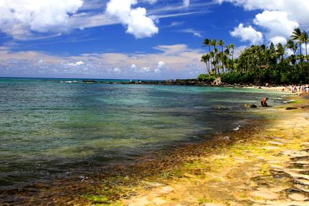 I'd like a room with this view, please! - sky, clouds, hawaii, beach, trees, ocean, seashore