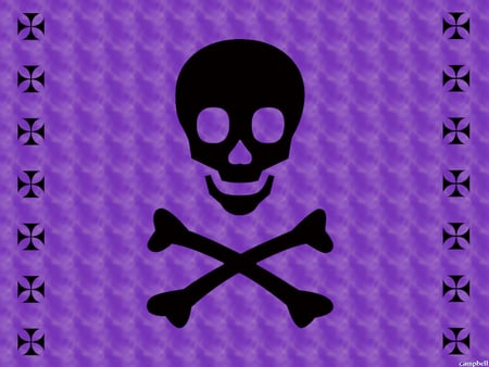 Black Skull with a purple backround - patterns, purple backdrop, skull