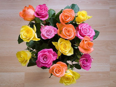 Celebrating Luiza - flowers, roses, yellow, colors, orange, green leaves, pink