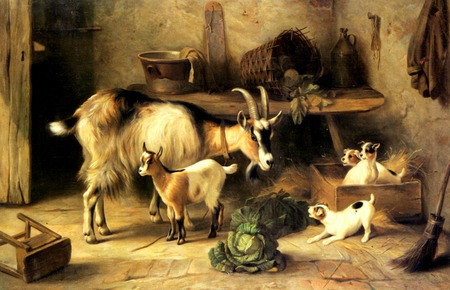 Uninvited - cabbage, stepstool, animals, box, broom, table, baby goat, dogs, goats, shed, puppies