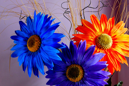 MissAnne,Welcome! - special, beauty, welcome, nature, red, blue, flowers, colors, missanne, friend