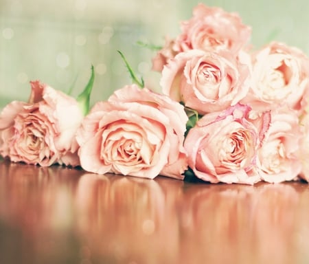 roses reflection - roses, vintage, table, reflection, bouquet, still life