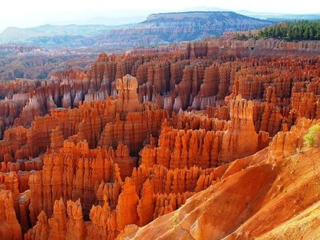 Bryce Canyon National Park, Utah - bright, hot, canyon, colorful, desert, cliffs, rocks