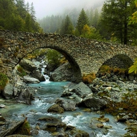 FOREST RIVER BRIDGE