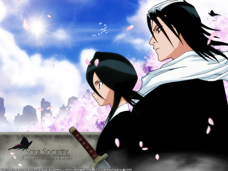 Byakuya and Rukia Kuchiki - byakuya, kuchiki, rukia, bleach, soul society