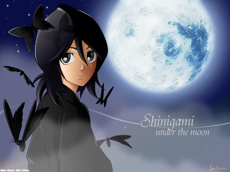 Shinigami Under The Moon - moon, bleach, kuchiki, rukia