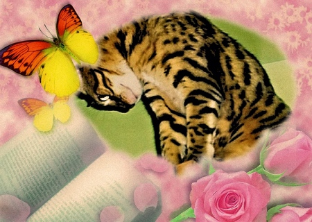 bengal cat & butterflies - flowers, butterflies, cats, bengal cat, cat