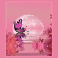 BUTTERFLY UNDER A PINK MOON