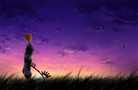 sunset - kh bbs, ventus, sunset, wind, keyblade