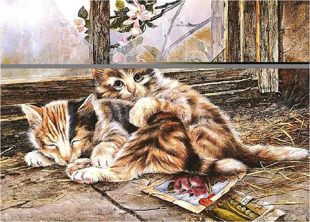 Cats - art, kitten, painting, cat